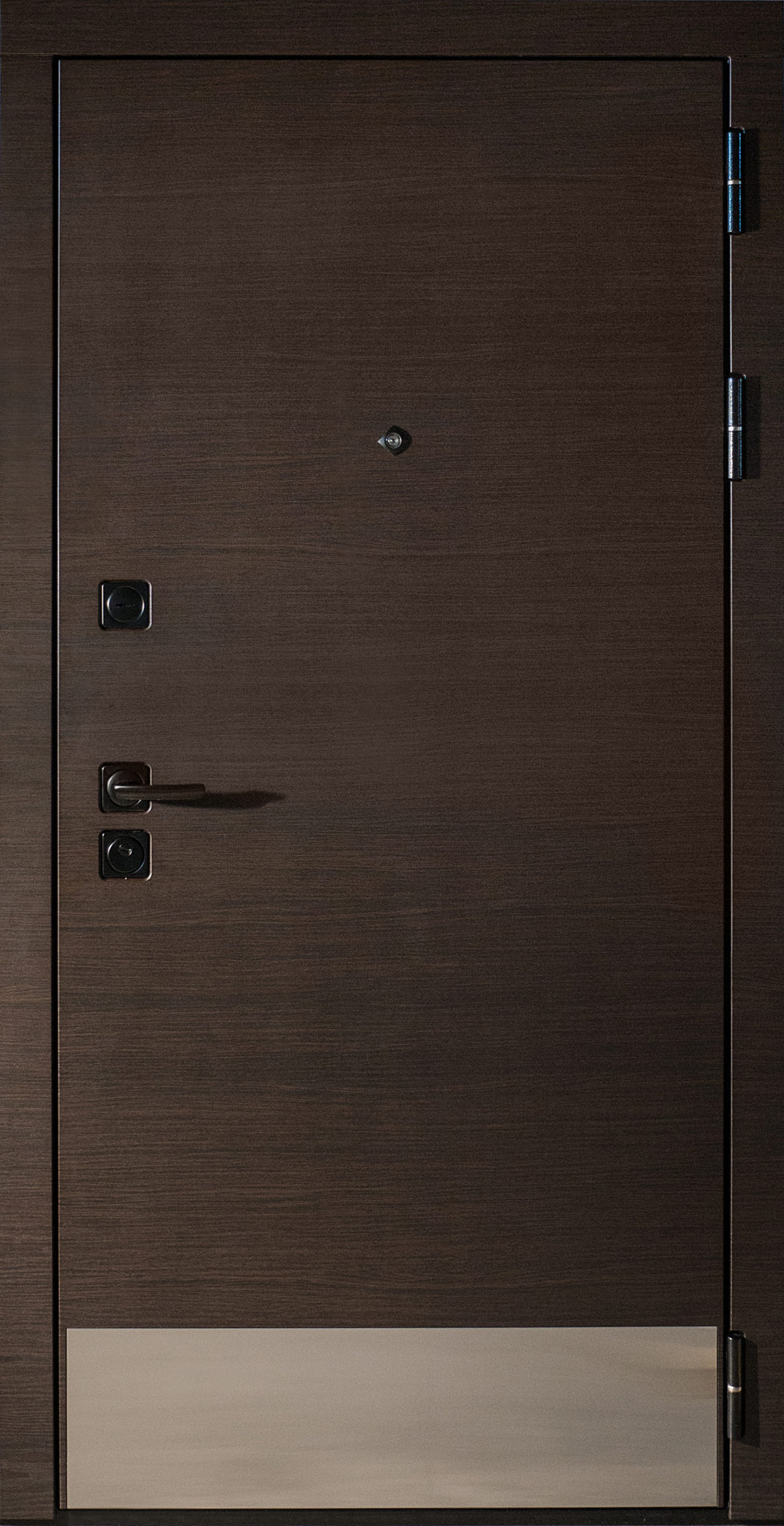 Входная дверь в квартиру «STR 52»